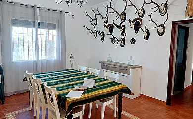 Huerta Tío Pipa en Aznalcázar (Sevilla) - Foto 11