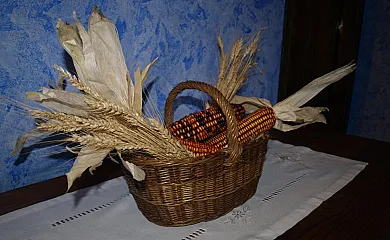 Apartamentos turísticos La Fuensanta en Cella (Teruel) - Foto 18