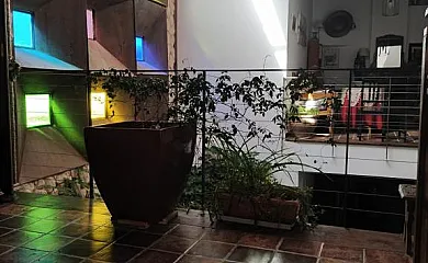 El Sueño de Lucrecia en Villarrubia De Santiago (Toledo) - Foto 10