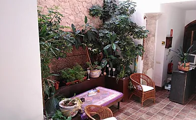 El Sueño de Lucrecia en Villarrubia De Santiago (Toledo) - Foto 5