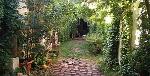 El Sueño de Lucrecia 008