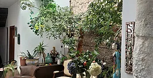 El Sueño de Lucrecia 009