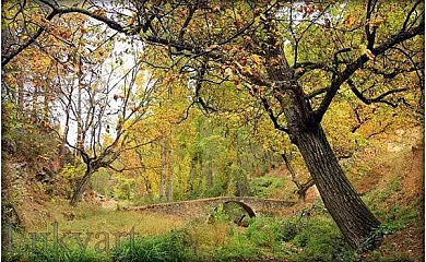 Complejo Rural Calar de la Sima en Yeste (Albacete) - Foto 13
