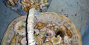 Complejo Rural Calar de la Sima 0021