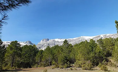 Complejo Rural Calar de la Sima en Yeste (Albacete) - Foto 24
