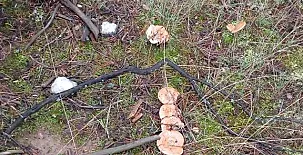 Complejo Rural Calar de la Sima 0030