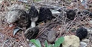 Complejo Rural Calar de la Sima 0032