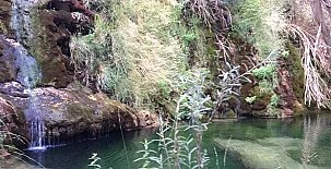 Complejo Rural Calar de la Sima 0034