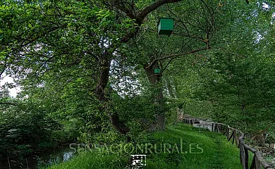 El Molino del Batán en Molina de Aragón (Guadalajara) - Foto 19