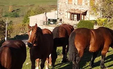 Can Illa en Mollo (Girona) - Foto 5