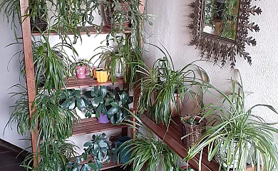 Can Illa en Mollo (Girona) - Foto 9