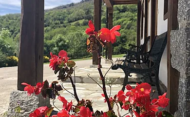 Viviendas Rurales Las Vegas en Tanarrio (Cantabria) - Foto 21