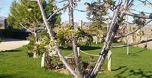 Casa Las Masadas 008