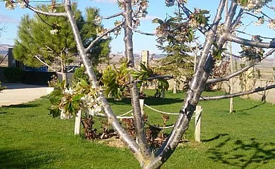 Casa Las Masadas en Cella (Teruel) - Foto 8