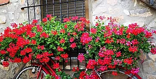 Casa Las Masadas 0031