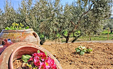 El Mas de Boné en Valderrobres (Teruel) - Foto 6