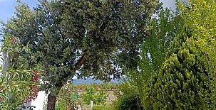 Casa Las Masadas 0067