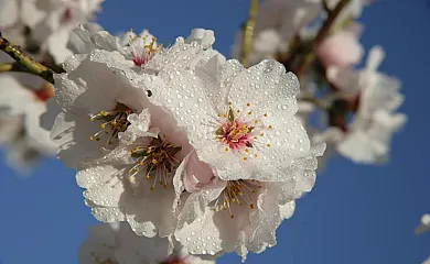 Casa Sanz en Asque (Huesca) - Foto 23