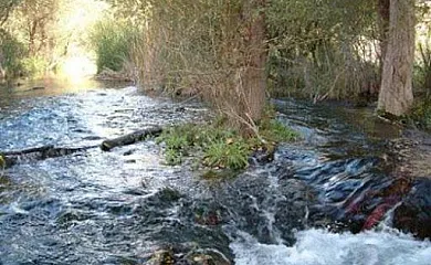 Villa Vega en Pozo Alcón (Jaén) - Foto 11