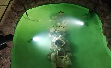 Villa Vega en Pozo Alcón (Jaén) - Foto 5