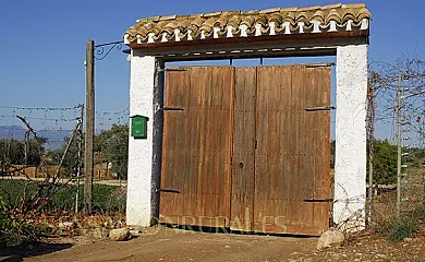 Casa Rural el Palomar en Alhama de Murcia (Murcia) - Foto 14