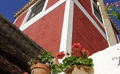 Casa Rural el Palomar en Alhama de Murcia (Murcia) - Foto 15