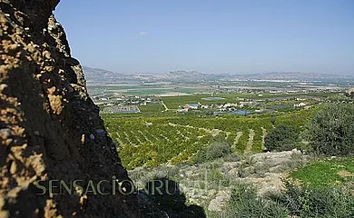 Casa Rural el Palomar en Alhama de Murcia (Murcia) - Foto 18