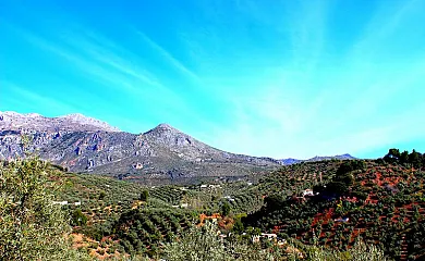 Cortijo El Agüelo en Huelma (Jaén) - Foto 9