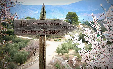 Cortijo El Agüelo en Huelma (Jaén) - Foto 18