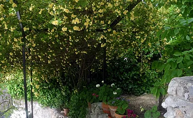 Cortijo El Agüelo en Huelma (Jaén) - Foto 20