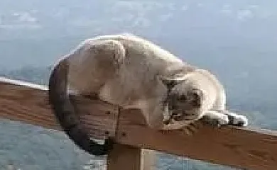 Camino Beturia en Cabeza la Vaca (Badajoz) - Foto 20