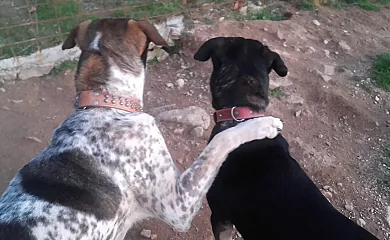 Camino Beturia en Cabeza la Vaca (Badajoz) - Foto 10