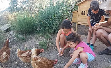 Camino Beturia en Cabeza la Vaca (Badajoz) - Foto 9