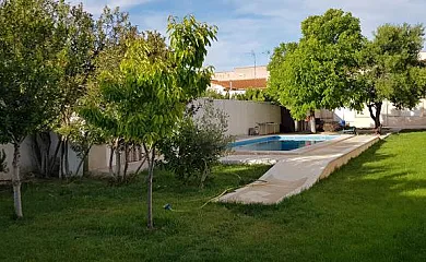 Alojamiento Turístico Alonso Quijano II en Argamasilla de Alba (Ciudad Real) - Foto 2