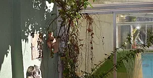 CASA RURAL MARY 0030