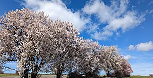 Casa Entre Hoces - 10-12pax - Con jardín, barbacoa y chimenea 0067