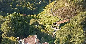 Entre Os Ríos - Enoturismo 002