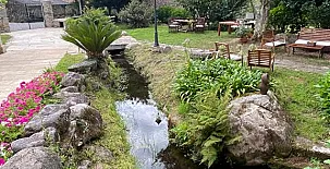 Entre Os Ríos - Enoturismo 0027