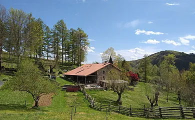 Pagorriaga en Beizama (Guipuzcoa) - Foto 1