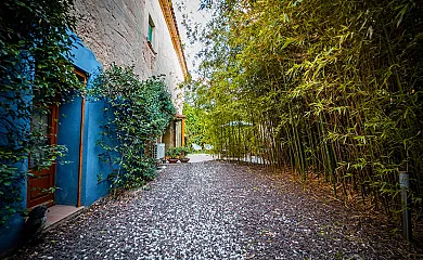 Cal Pere Pau en Sant Pere Molanta (Barcelona) - Foto 9