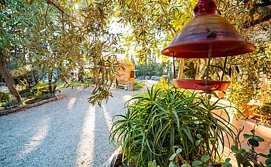 Cal Pere Pau en Sant Pere Molanta (Barcelona) - Foto 7