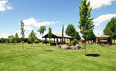 Puentes Mediana en Hornillos de Eresma (Valladolid) - Foto 12
