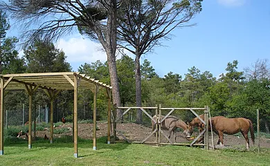 Cal Panxeta en Balsareny (Barcelona) - Foto 3