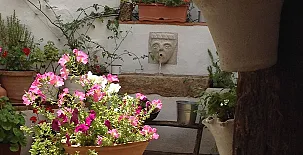 Casa Los Abuelos 0034