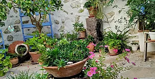 Casa Los Abuelos 002