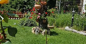 Apartamentos y Cabañas de Madera Arroyo frío 0018