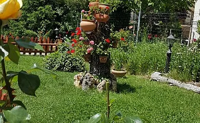 Apartamentos y Cabañas de Madera Arroyo frío en La Iruela (Jaén) - Foto 18