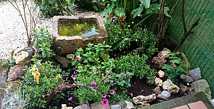 Casa de los Escudos 0029