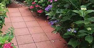 Casa de los Escudos 0030