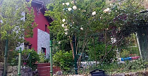 Casa de los Escudos 006